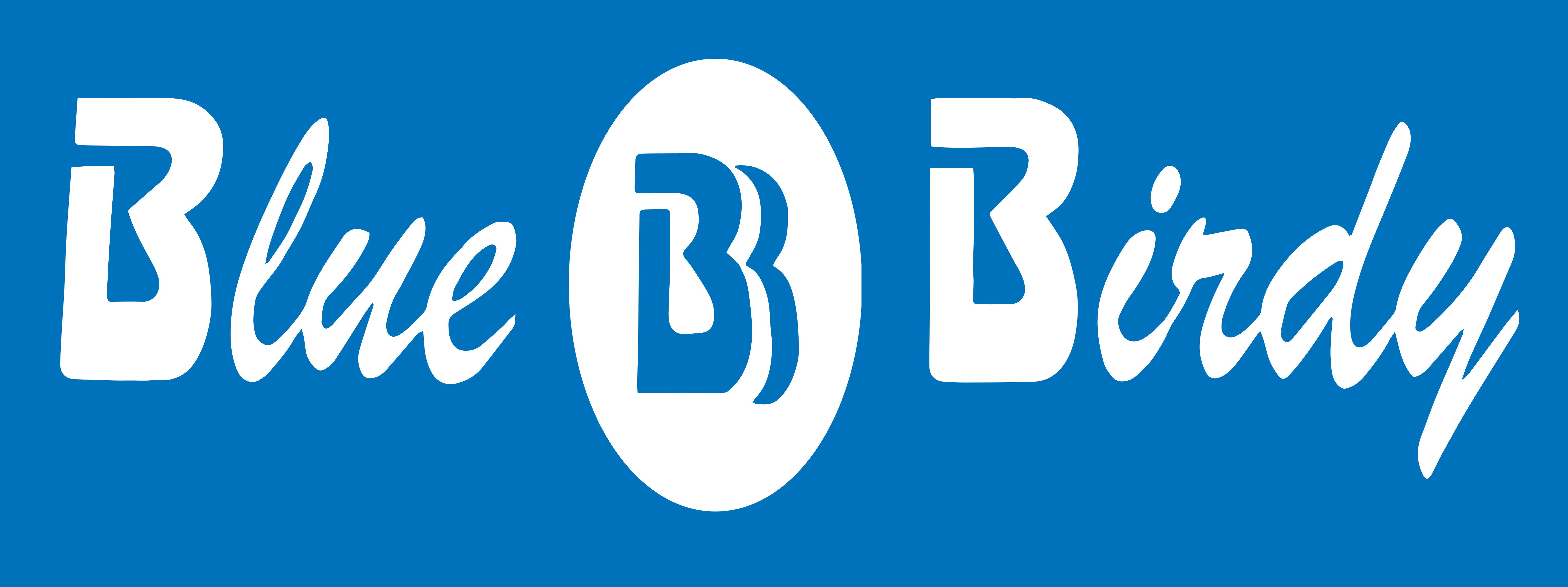 Bluebirdy